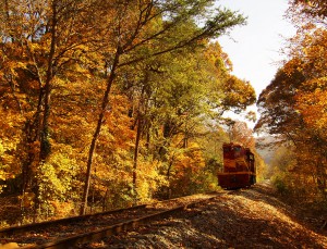 Hiawassee River Rail Adventure!