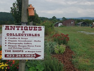 GreenhouseatMorganSign