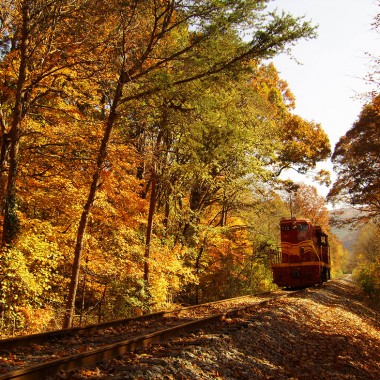 Hiawassee River Rail Adventures