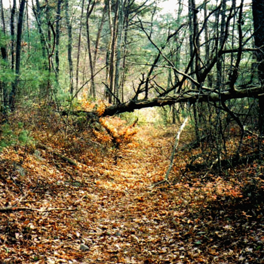 Unicoi Turnpike Trail