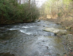 North River Tributary of Tellico River
