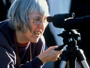 Birder