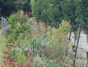 Greenhouse at Morgan Lane