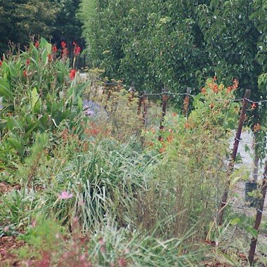 The Greenhouse at Morgan Lane