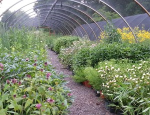 Overhill Gardens