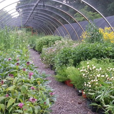 Overhill Gardens