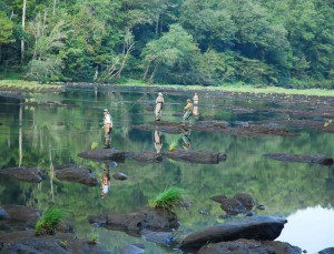 Trout Fishing Hiwassee River