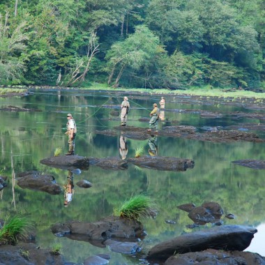 Fishing
