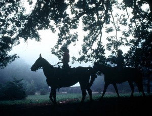 horseback riding