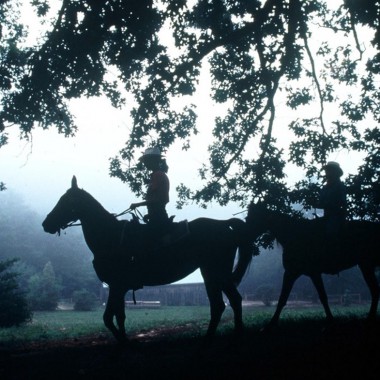 Horseback Riding
